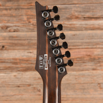 Ibanez RGD71ALPA Axion Label Charcoal Burst Black Stained Flat 2021 Electric Guitars / Solid Body