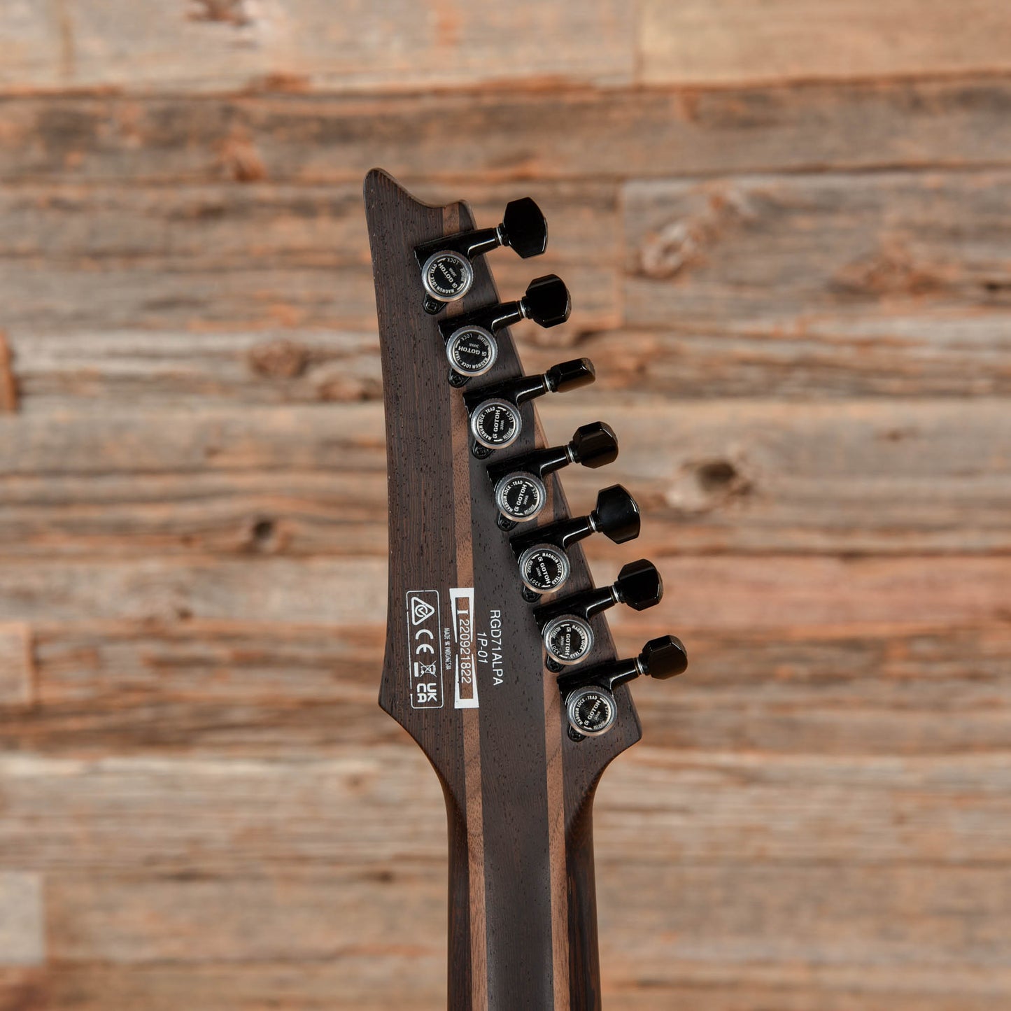 Ibanez RGD71ALPA Black 2022 Electric Guitars / Solid Body