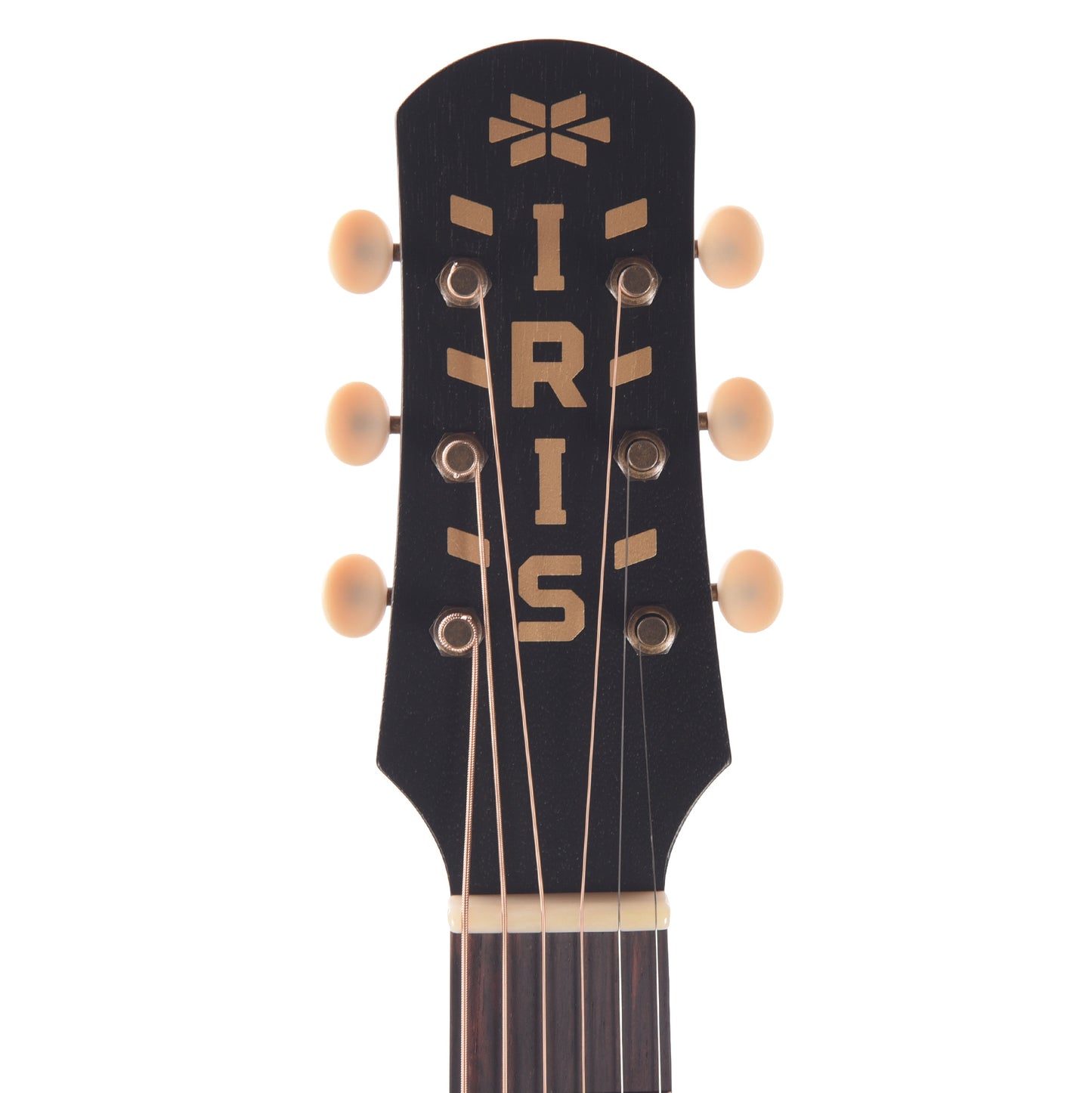 Iris MS-00 Sitka/Mahogany Black Top w/Ivoroid Pickguard Acoustic Guitars / Concert