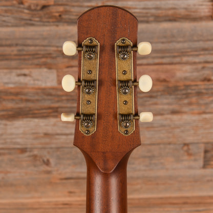 Iris MS-00 Sunburst 2024 Acoustic Guitars / Concert