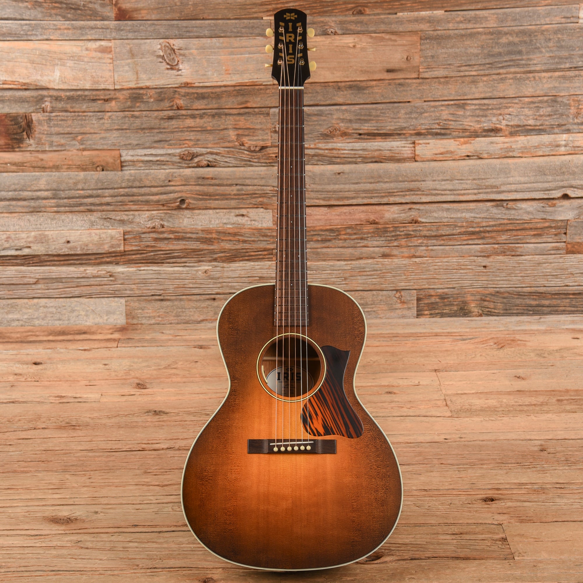 Iris MS-00 Sunburst Acoustic Guitars / Concert