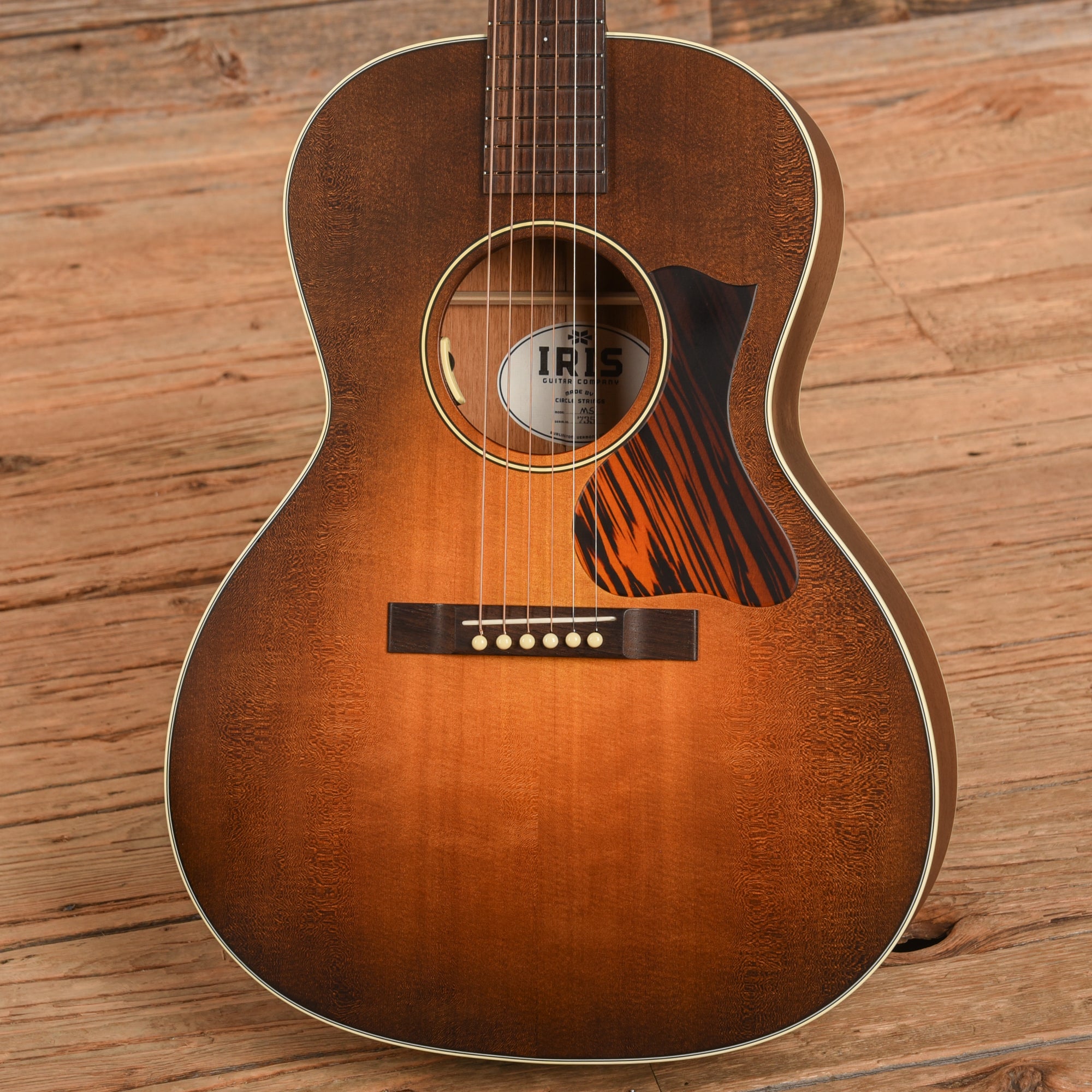 Iris MS-00 Sunburst Acoustic Guitars / Concert
