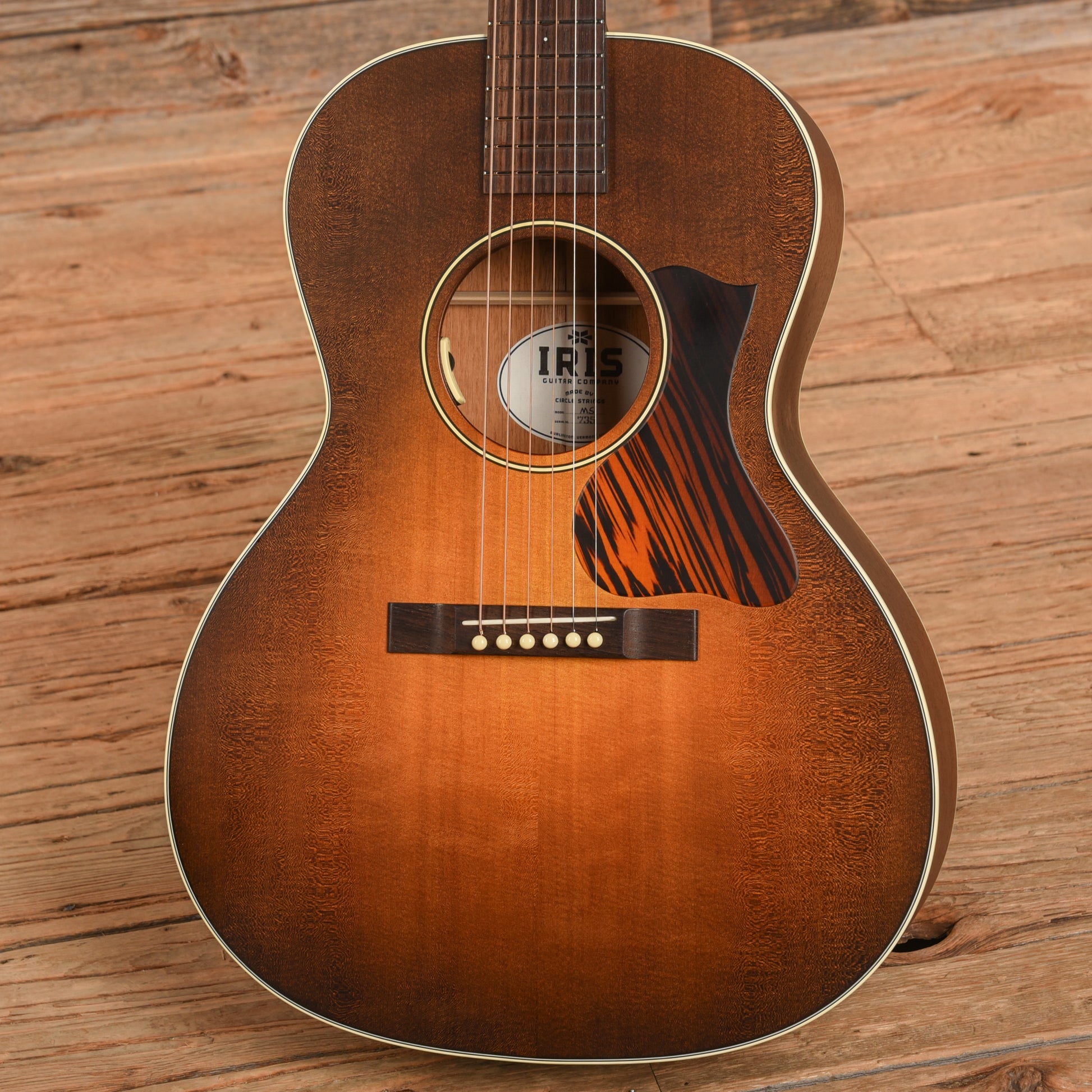 Iris MS-00 Sunburst Acoustic Guitars / Concert