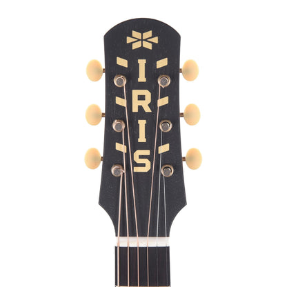 Iris DF Adirondack/Mahogany Tobacco Burst Satin w/Firestripe Pickguard Acoustic Guitars / Dreadnought