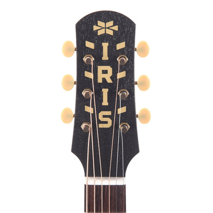 Iris DF Adirondack/Rosewood Tobacco Burst Satin w/Firestripe Pickguard Acoustic Guitars / Dreadnought