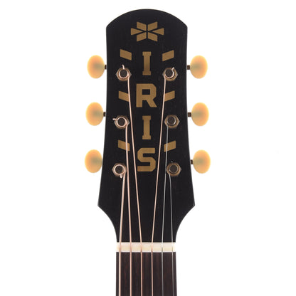 Iris DF Sitka/Mahogany Black Satin w/Firestripe Pickguard Acoustic Guitars / Dreadnought