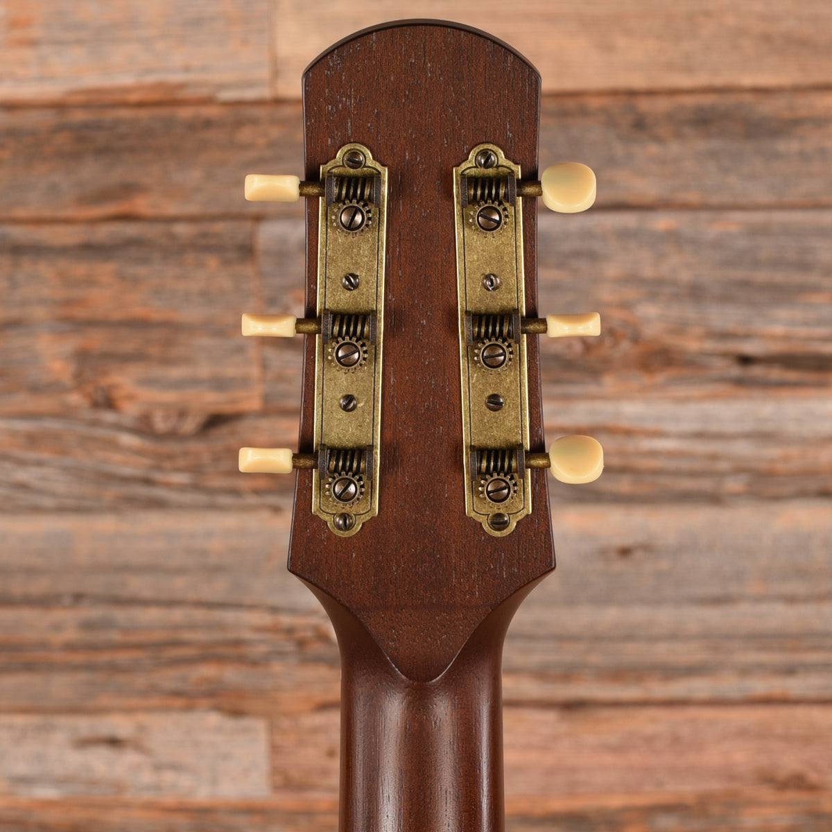 Iris DWH Natural 2024 Acoustic Guitars