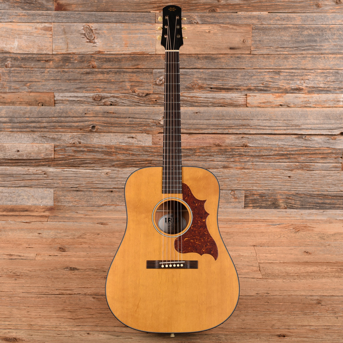 Iris DWH Natural 2024 Acoustic Guitars