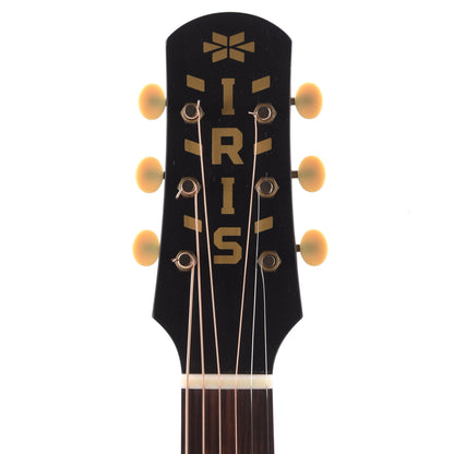 Iris CH Sitka/Mahogany Black Satin w/Ivoroid Pickguard Acoustic Guitars / Mini/Travel