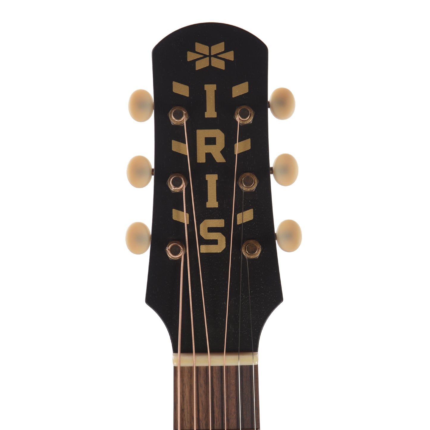 Iris MS-00 Sitka/Mahogany Black Top w/Ivoroid Pickguard Acoustic Guitars / OM and Auditorium