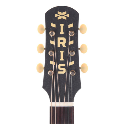 Iris MS-OO Sitka/Mahogany Black Satin w/Firestripe Pickguard Acoustic Guitars / Parlor
