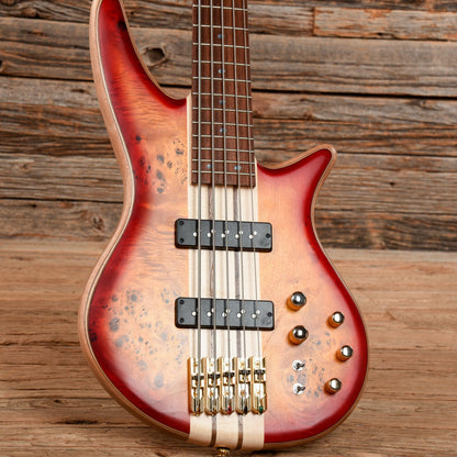 Jackson Pro Series Spectra Bass SBP V Transparent Cherry Burst 2022 Bass Guitars / 5-String or More