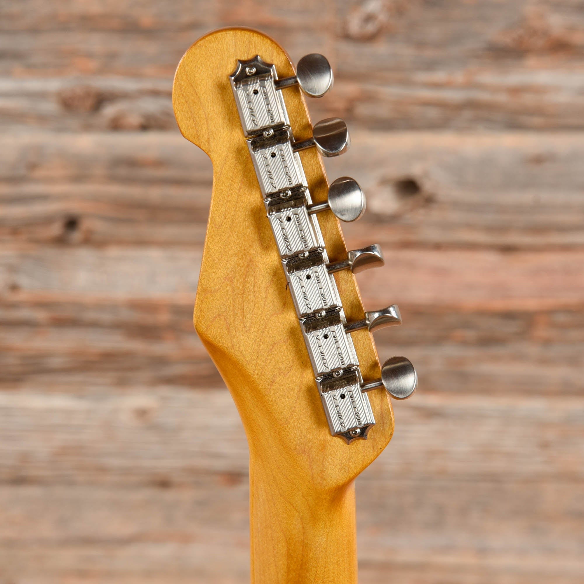 James Trussart Holey Steelcaster 2-Tone Blue Roses 2007 Electric Guitars / Solid Body