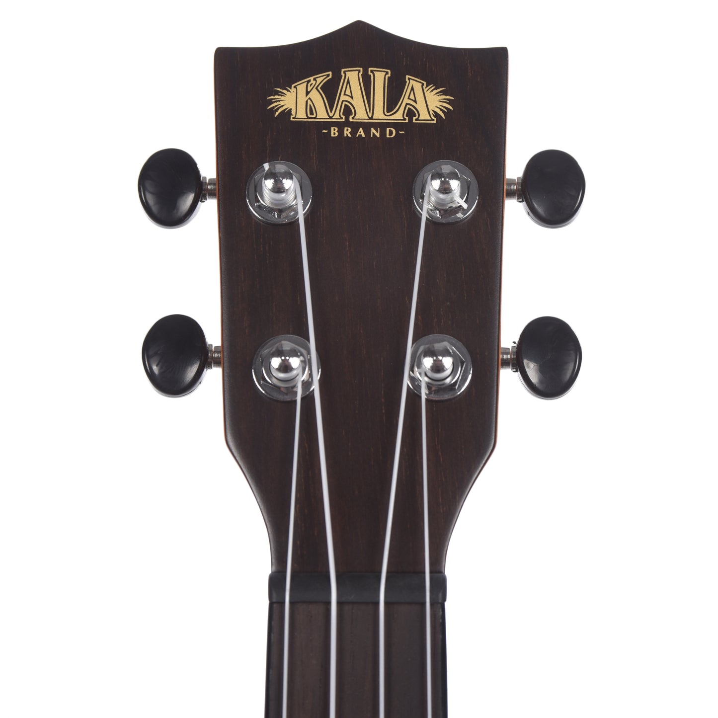 Kala KA-ZCT-T Tenor Ukulele Gloss Ziricote Folk Instruments / Ukuleles