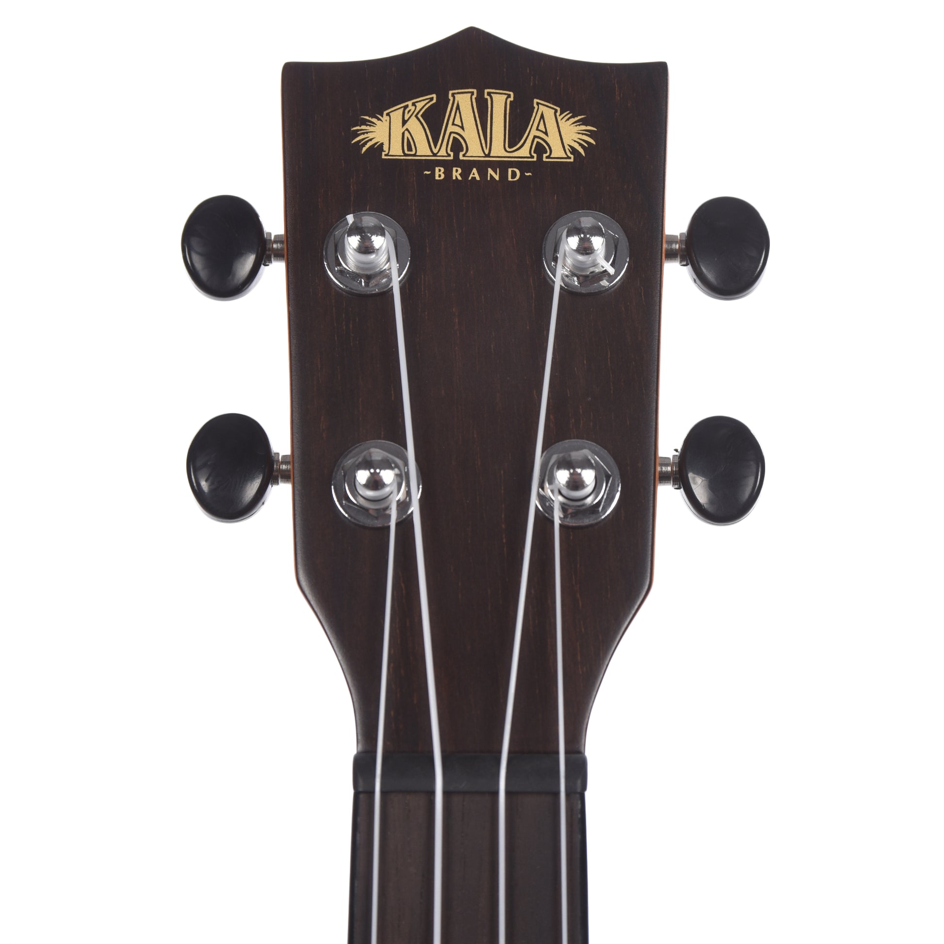 Kala KA-ZCT-T Tenor Ukulele Gloss Ziricote Folk Instruments / Ukuleles