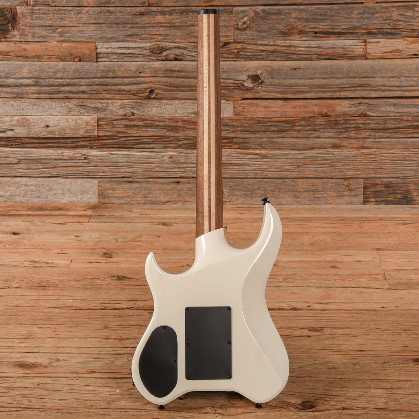 Kiesel Vader White Electric Guitars / Solid Body