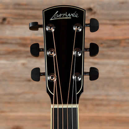 Larrivee D-10 Rosewood Natural 2001 Acoustic Guitars / Dreadnought