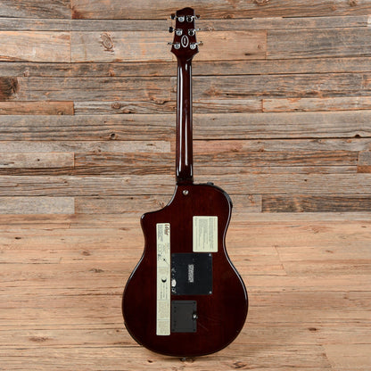 Line 6 Variax Acoustic  2004 Acoustic Guitars / Classical