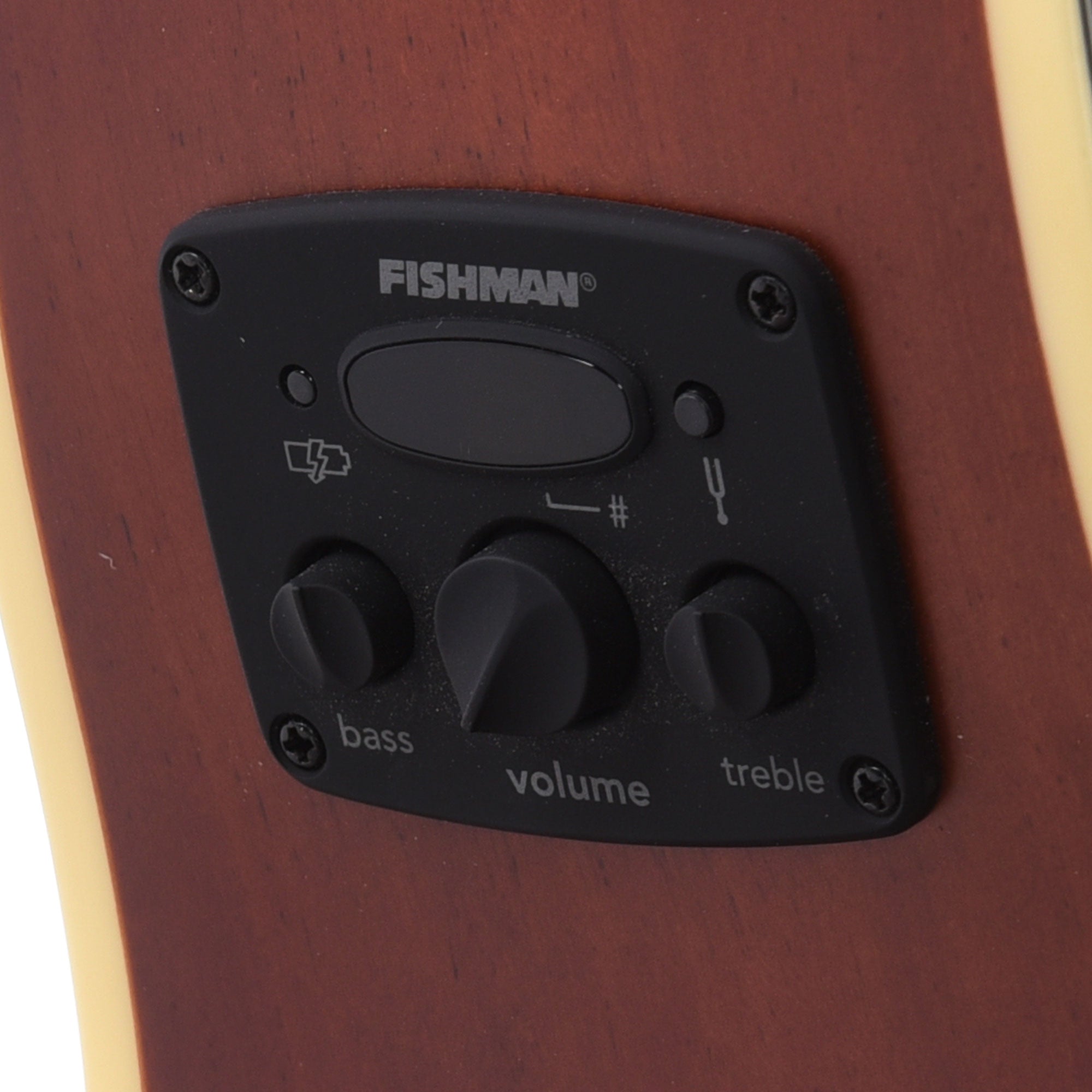 Fender Artist Tim Armstrong Hellcat Natural