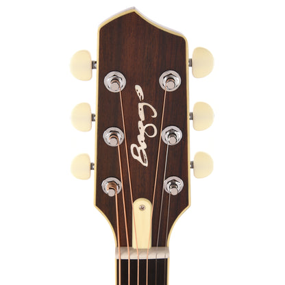 LR Baggs AEG-1 Acoustic Electric Guitar Engelmann Spruce Natural Acoustic Guitars / Built-in Electronics