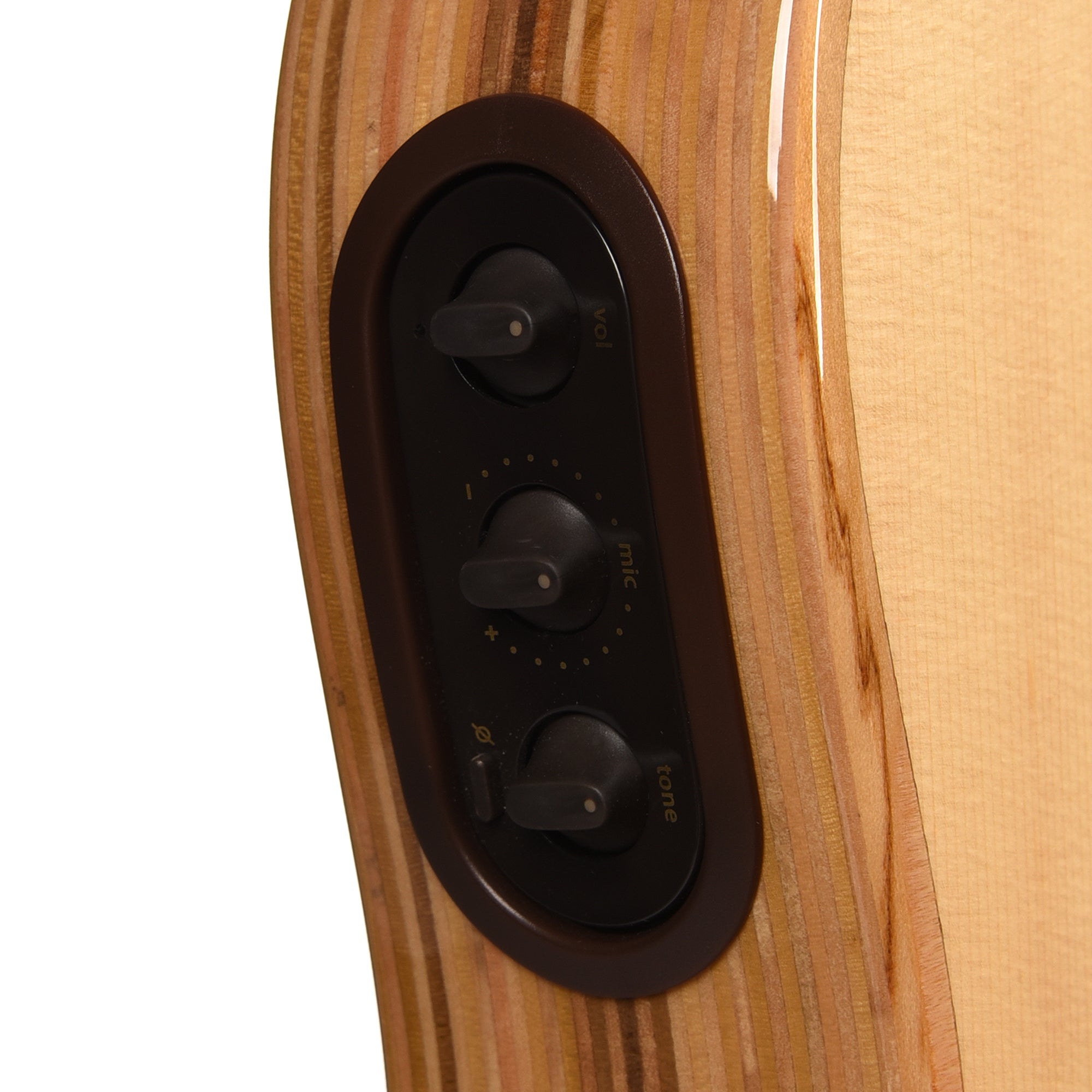 LR Baggs AEG-1 Acoustic Electric Guitar Engelmann Spruce Natural Acoustic Guitars / Built-in Electronics