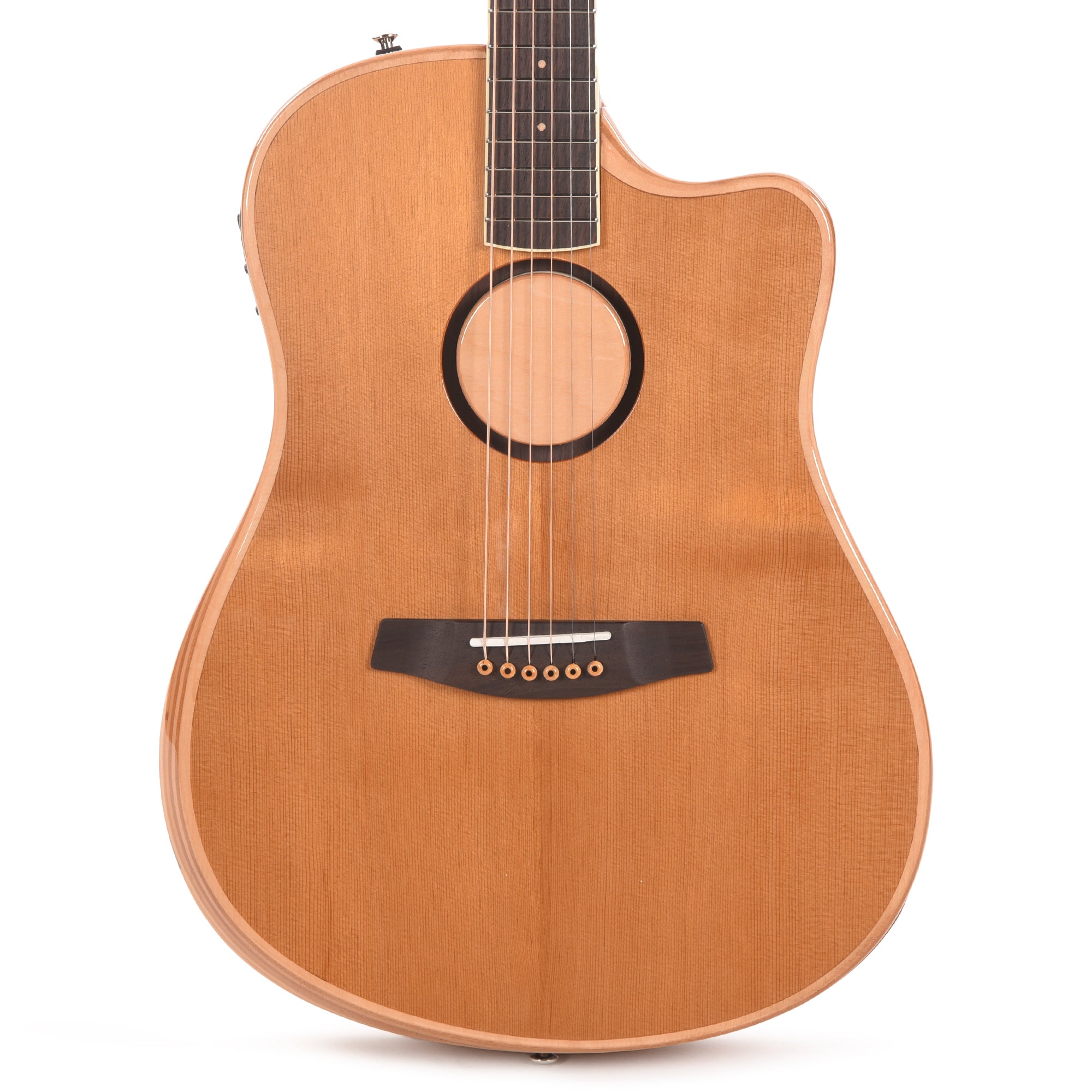 LR Baggs AEG-1 Acoustic Electric Guitar Torrefied Sitka Spruce Natural ...