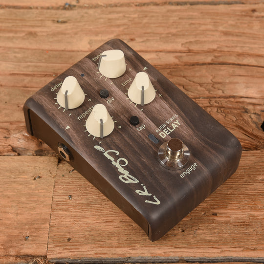 LR Baggs Align Delay Effects and Pedals / Delay