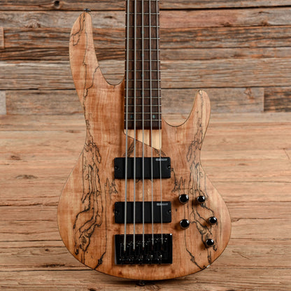 LTD B-205 Spalted Maple 2021 Bass Guitars / 5-String or More