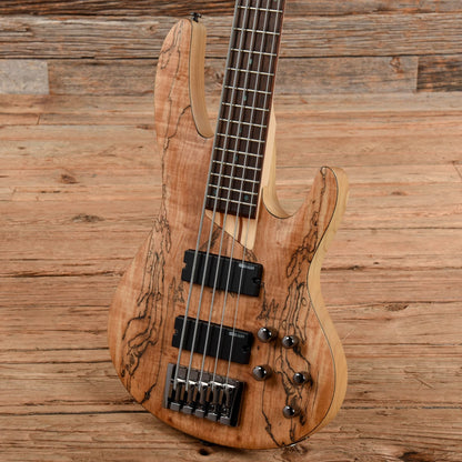 LTD B-205 Spalted Maple 2021 Bass Guitars / 5-String or More