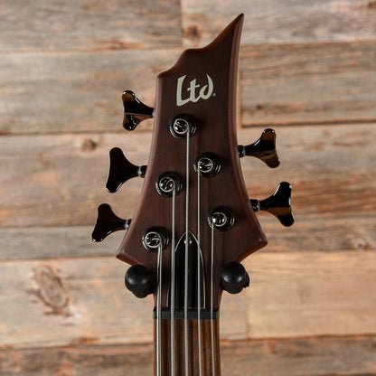 LTD D-5 Brown 2013 Bass Guitars / 5-String or More