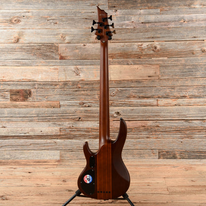 LTD D-5 Brown 2013 Bass Guitars / 5-String or More