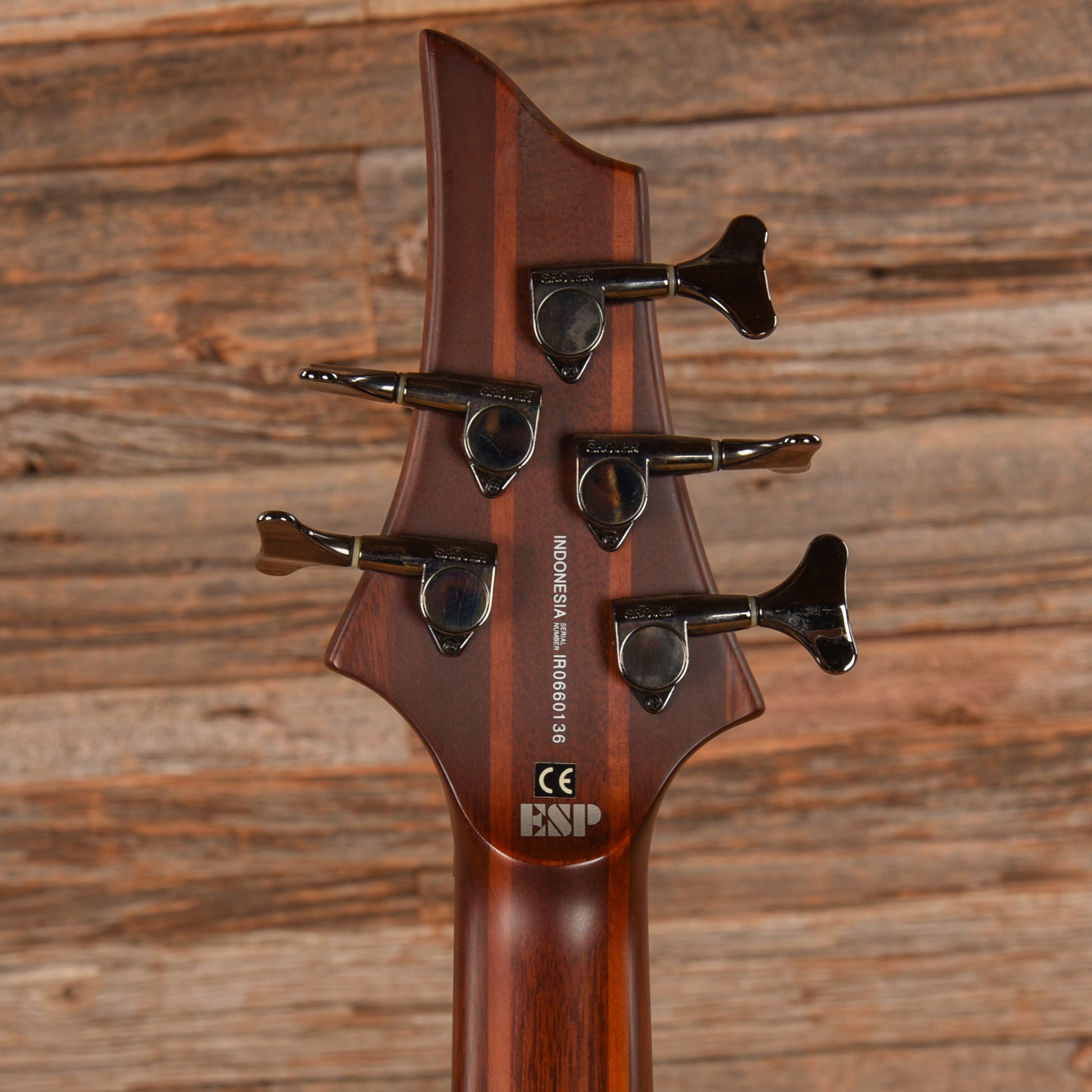 LTD D-5 Brown Bass Guitars / 5-String or More