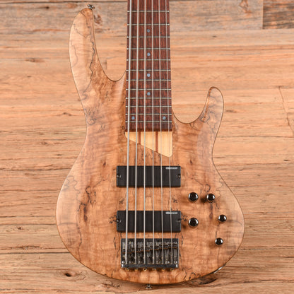 LTD B-206 Spalted Maple 2020 Bass Guitars
