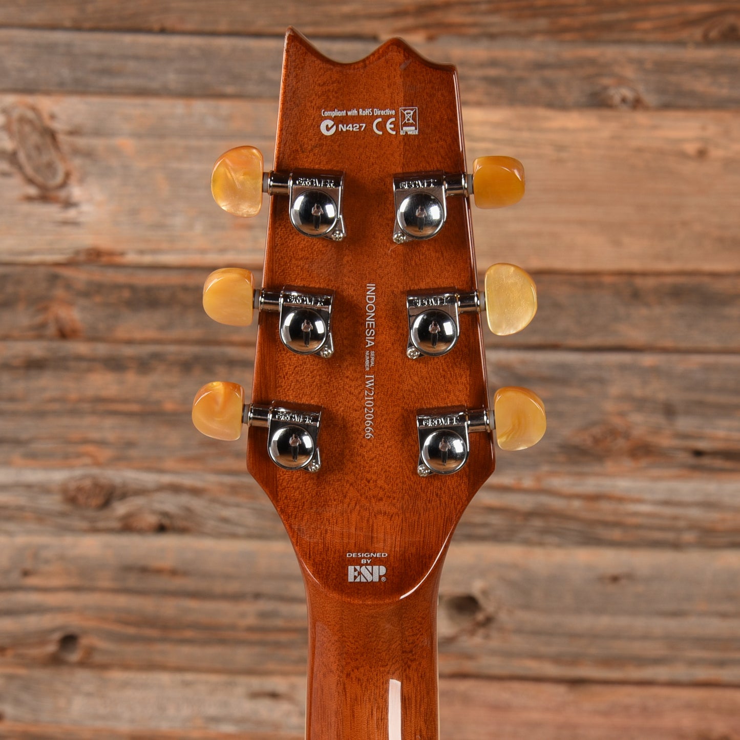 LTD TL-6 Sunburst 2021 Electric Guitars / Semi-Hollow