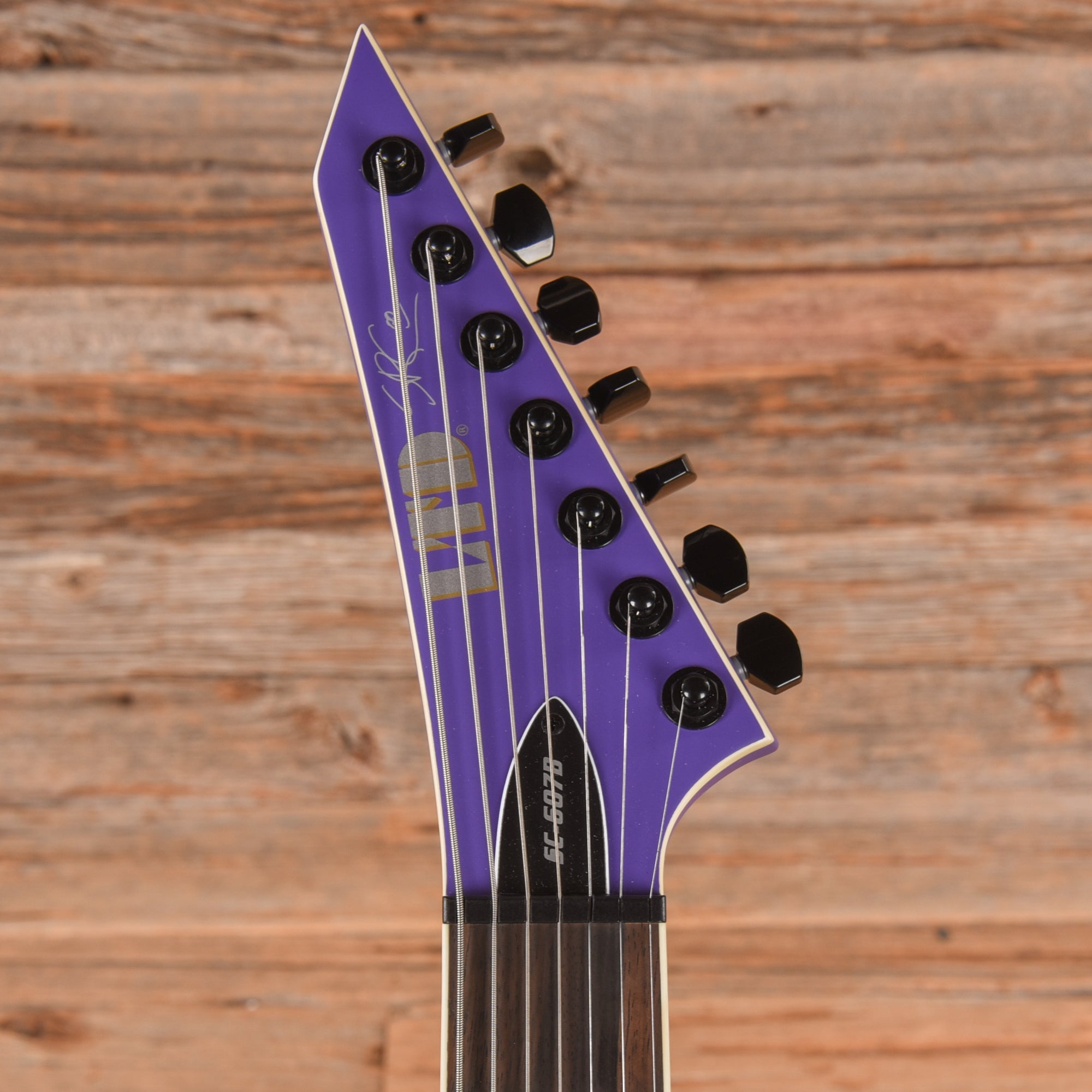 LTD SC-607B Stephen Carpenter Signature Purple 2022 – Chicago