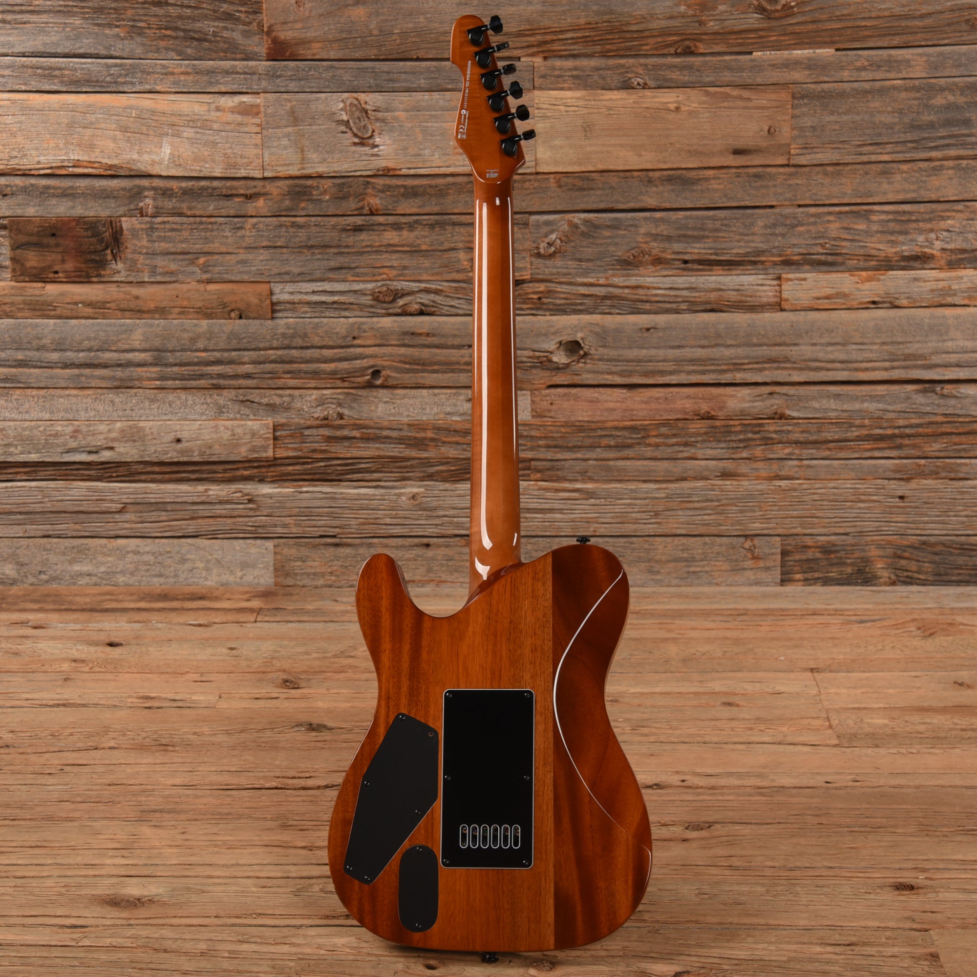 LTD TE-1000 Deluxe Koa 2021 Electric Guitars / Solid Body