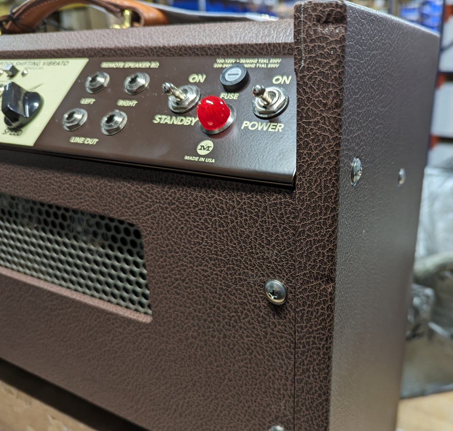 Magnatone Panoramic Stereo 12/12W 2x10 Combo Amp Amps / Guitar Combos