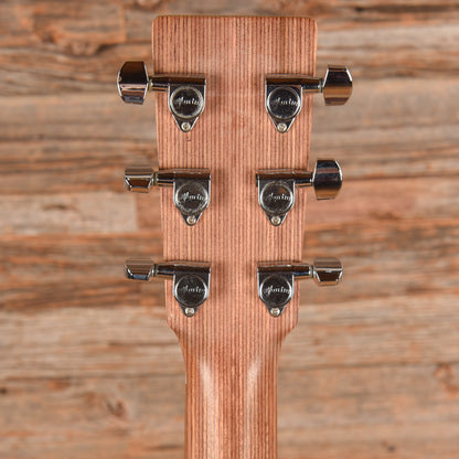 Martin DX-1  2008 Acoustic Guitars / Dreadnought