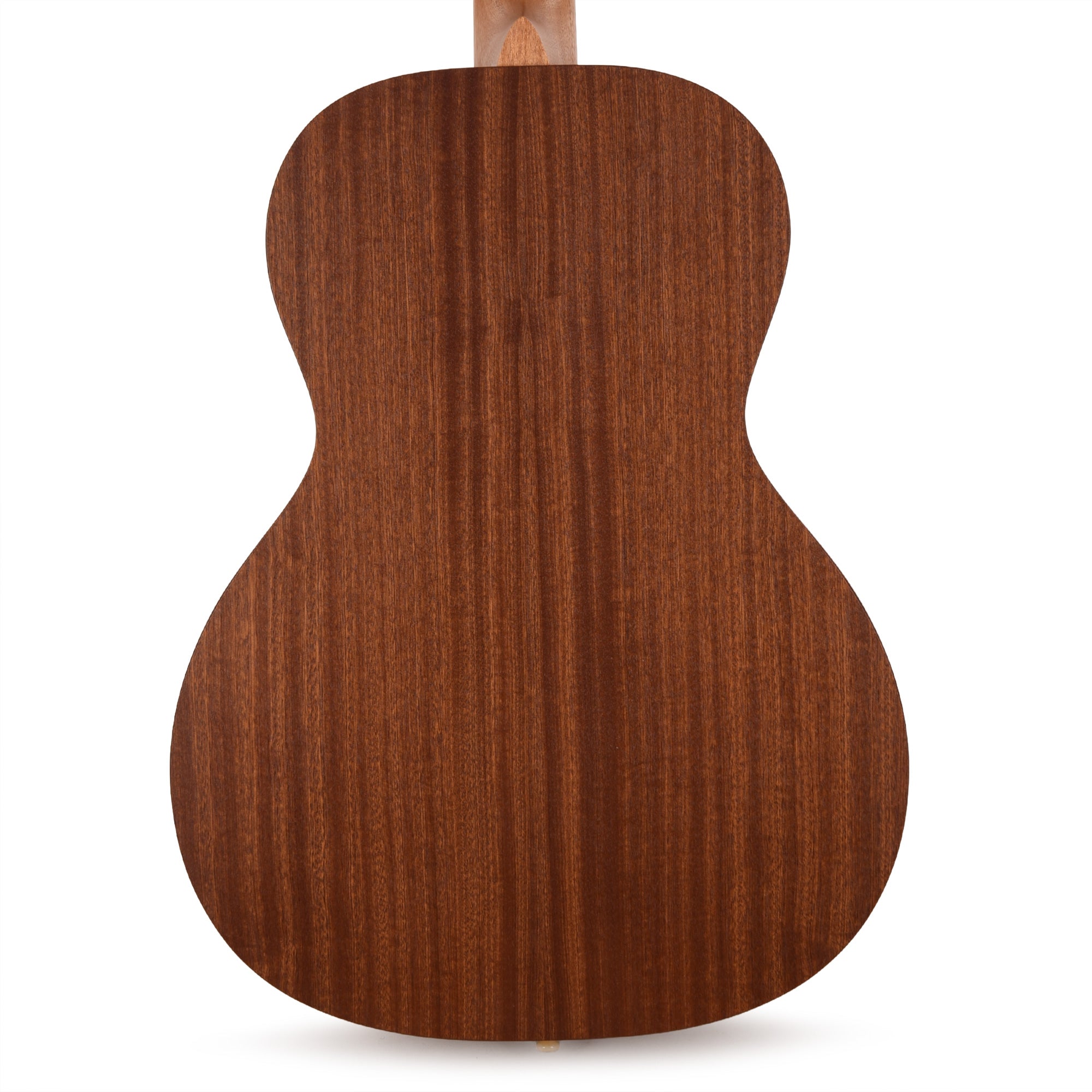 Martin Certified Wood 00L Biosphere IV w/Custom Artwork by Robert Goetzl Acoustic Guitars