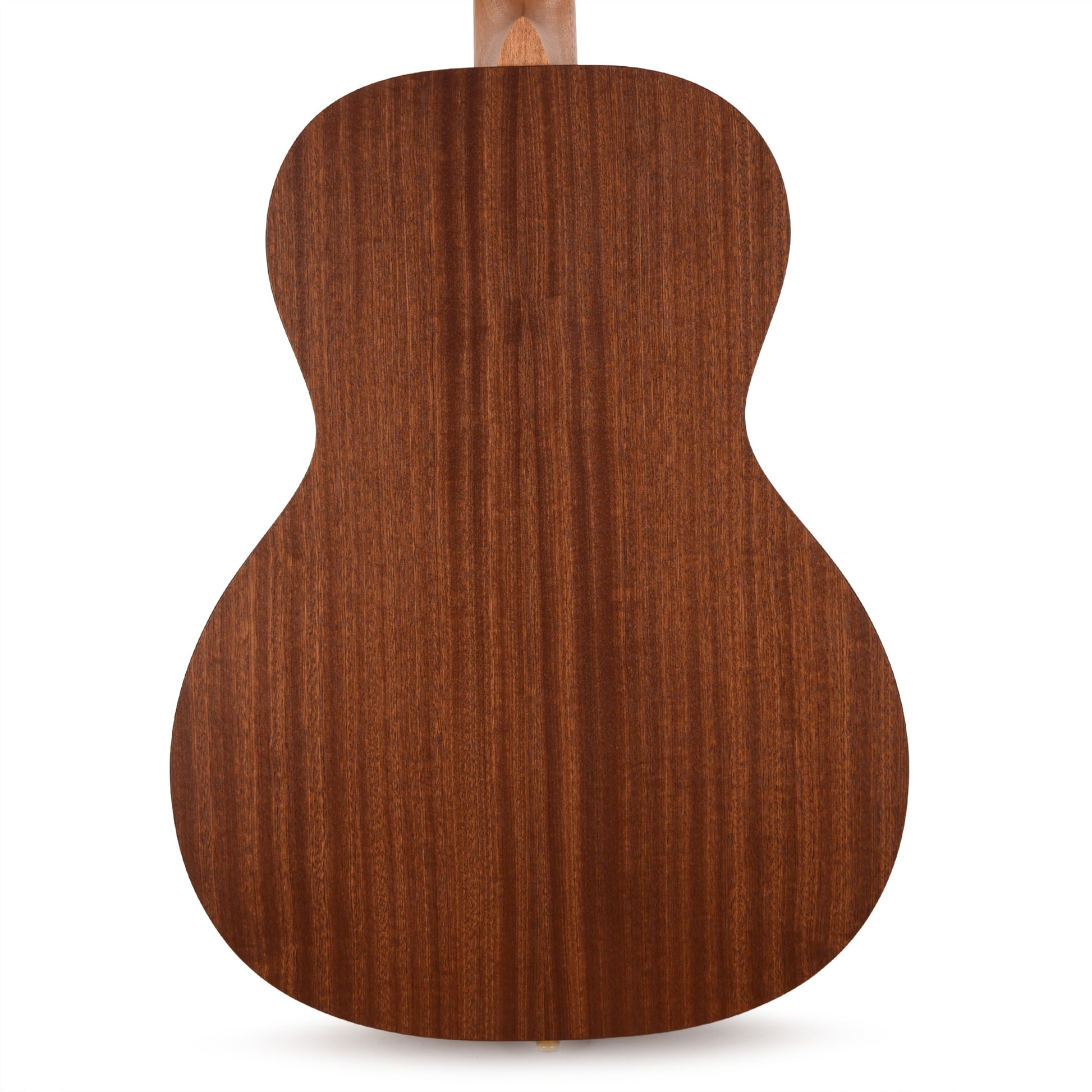 Martin Certified Wood 00L Biosphere IV w/Custom Artwork by Robert Goetzl Acoustic Guitars