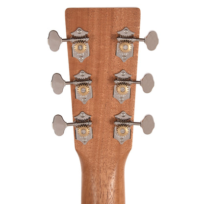 Martin Certified Wood 00L Biosphere IV w/Custom Artwork by Robert Goetzl Acoustic Guitars