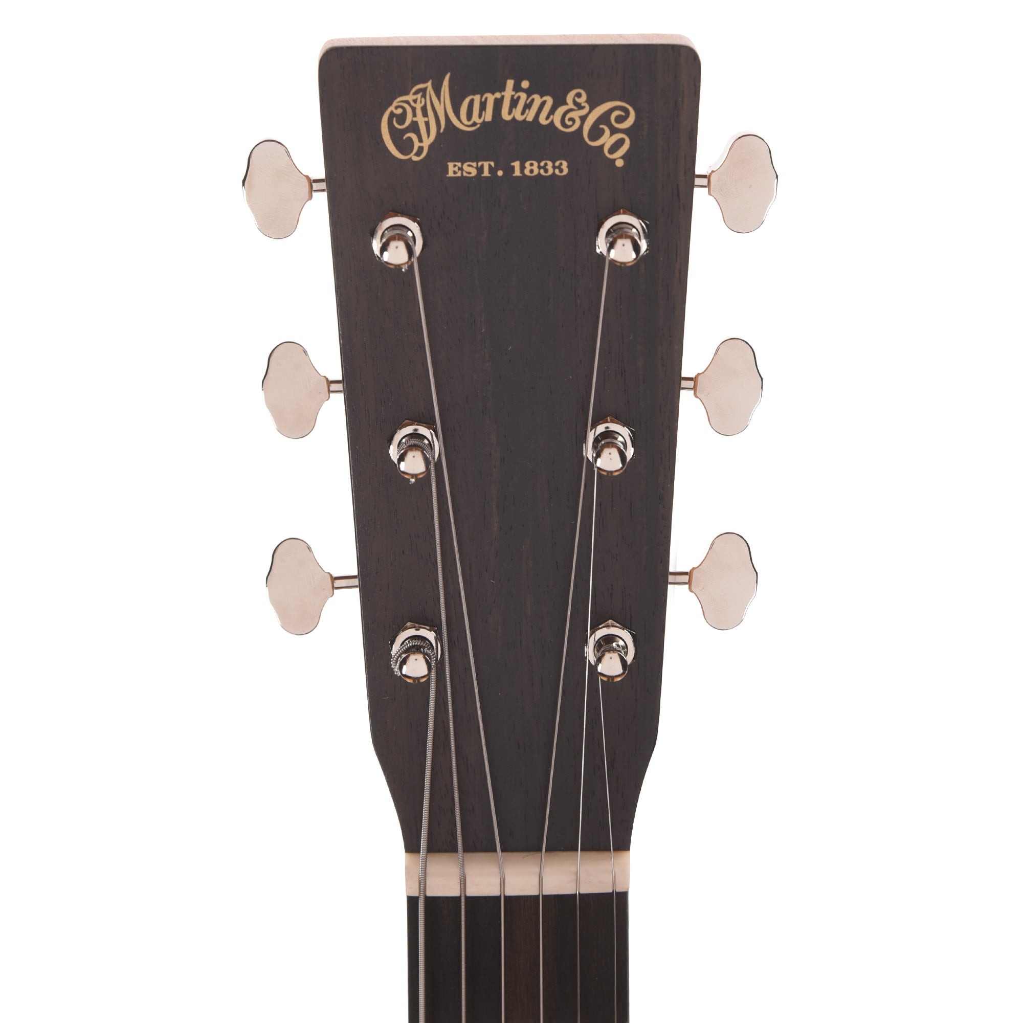Martin Certified Wood 00L Biosphere IV w/Custom Artwork by Robert Goetzl Acoustic Guitars