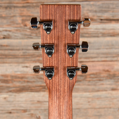Martin X-Series DX-1E Natural Acoustic Guitars