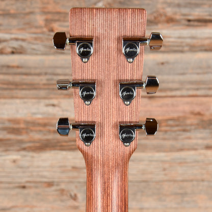 Martin X1-000E X-Series Natural Acoustic Guitars