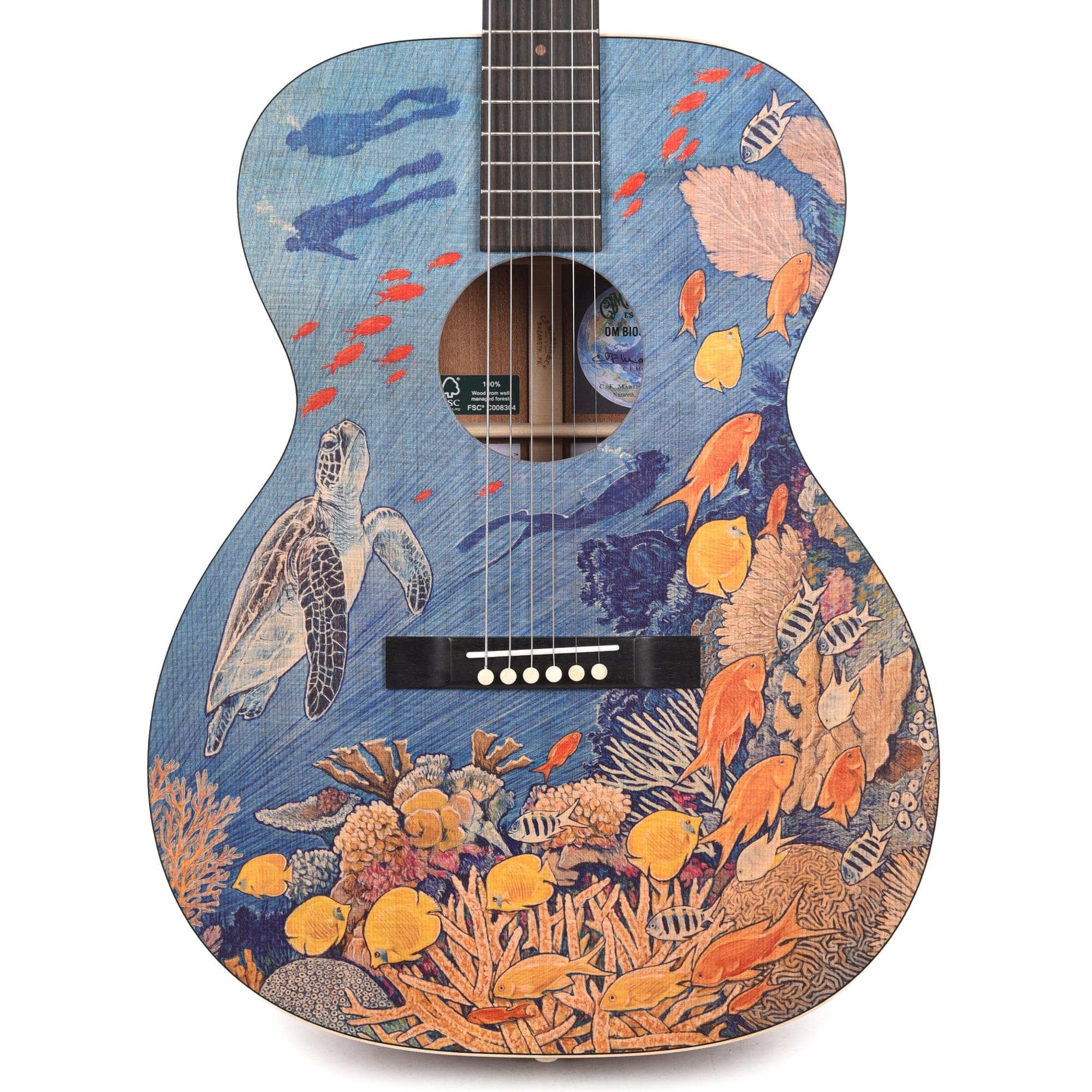 Martin OM Biosphere Custom Ink Acoustic Guitars / OM and Auditorium