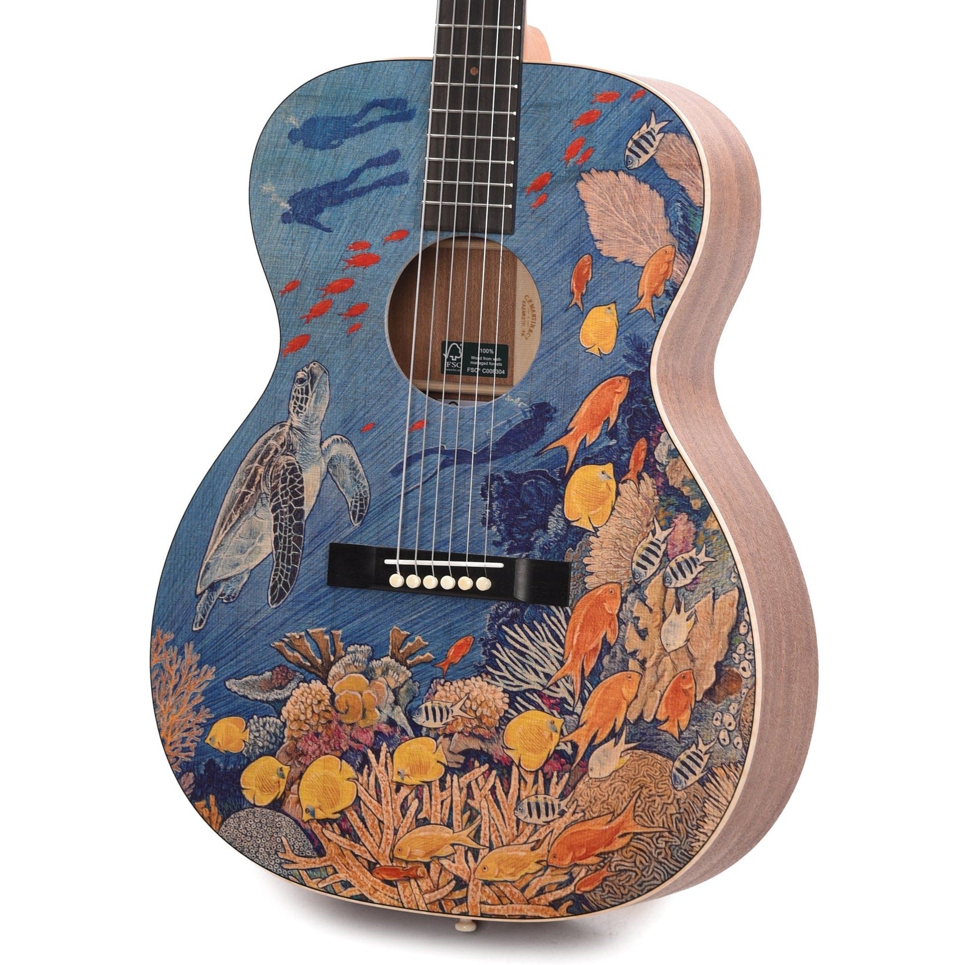 Martin OM Biosphere Custom Ink Acoustic Guitars / OM and Auditorium