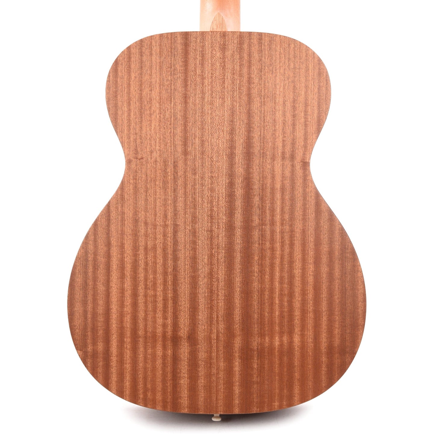 Martin OM Biosphere Custom Ink Acoustic Guitars / OM and Auditorium