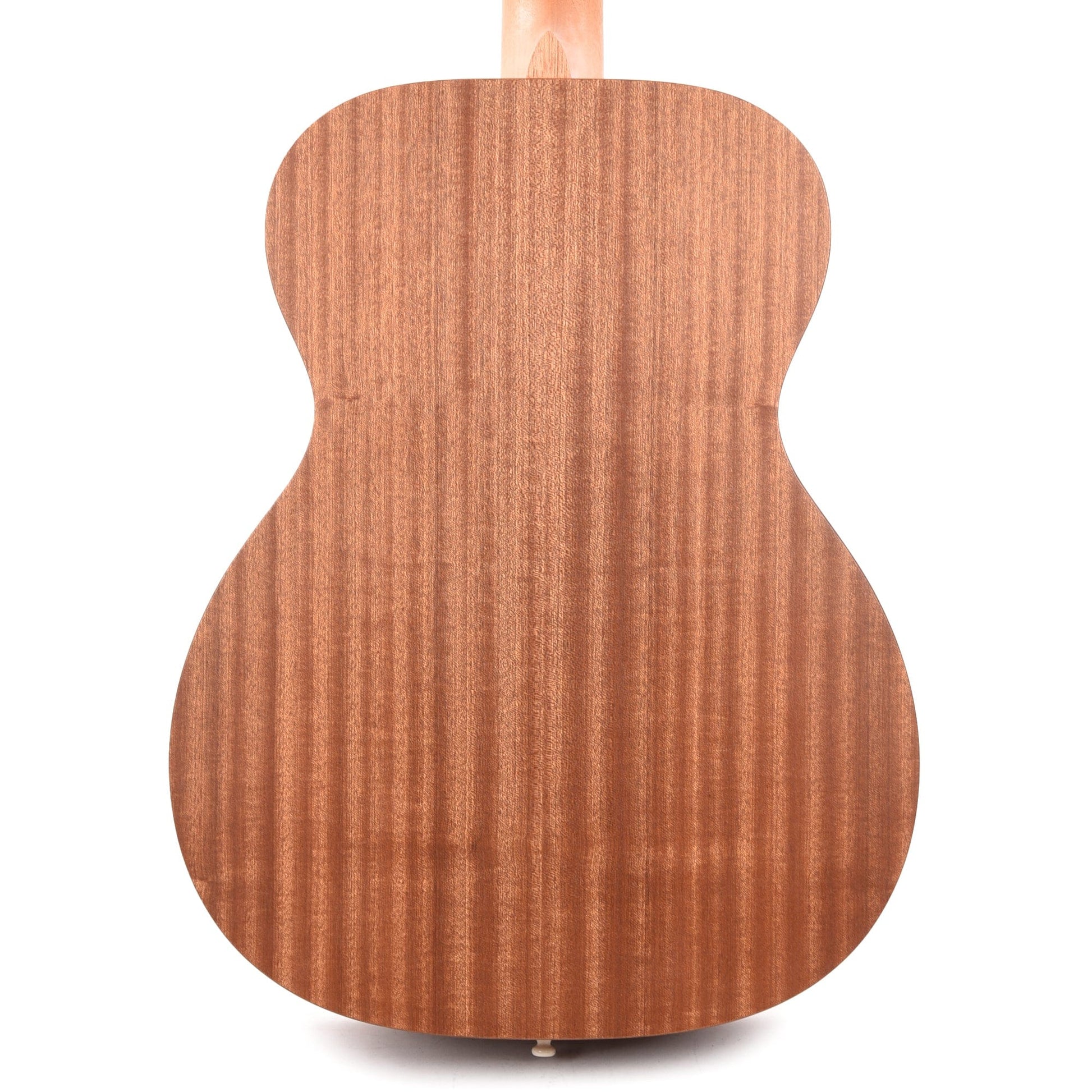 Martin OM Biosphere Custom Ink Acoustic Guitars / OM and Auditorium