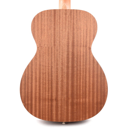 Martin OM Biosphere Custom Ink Acoustic Guitars / OM and Auditorium