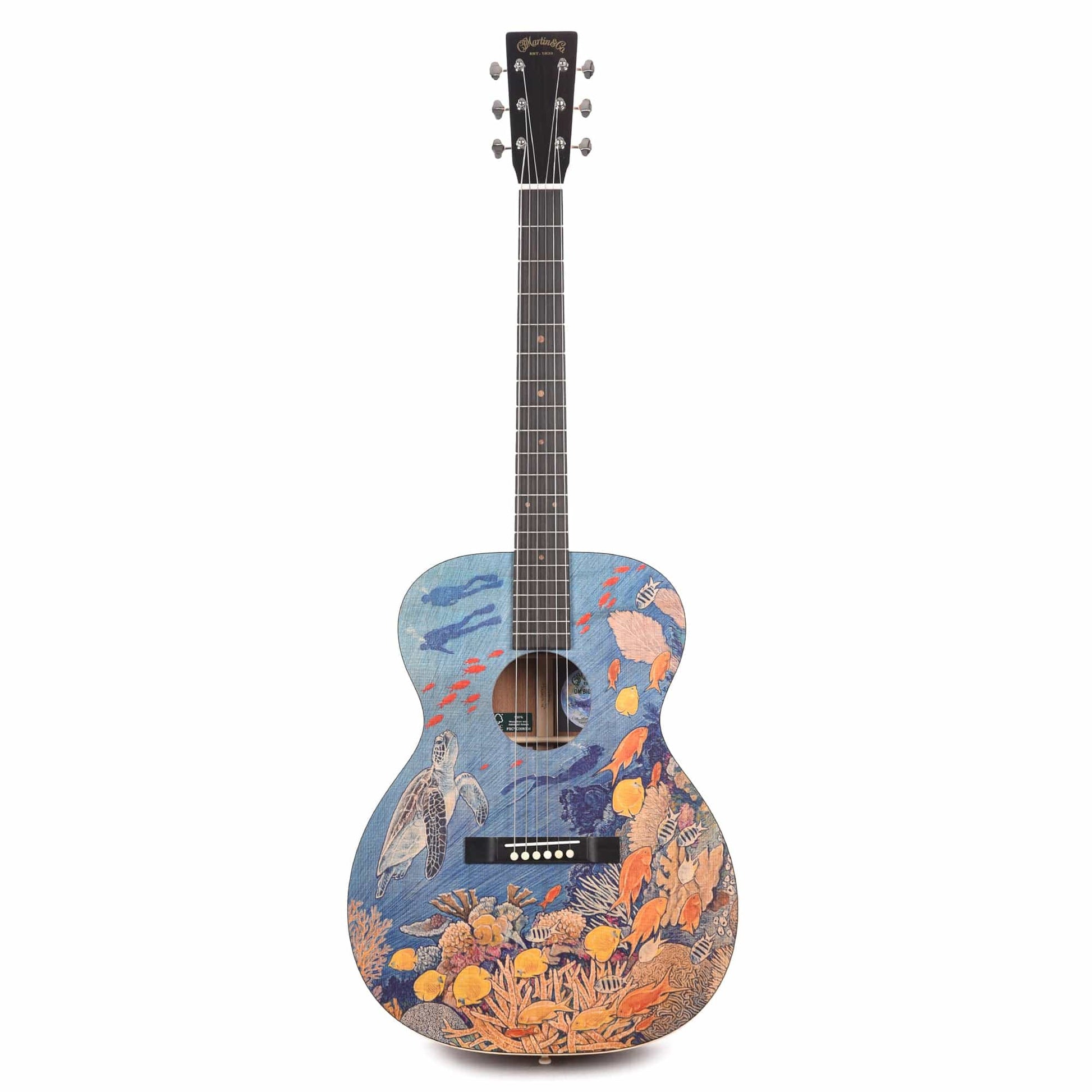 Martin OM Biosphere Custom Ink Acoustic Guitars / OM and Auditorium